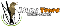 Iduna Tours